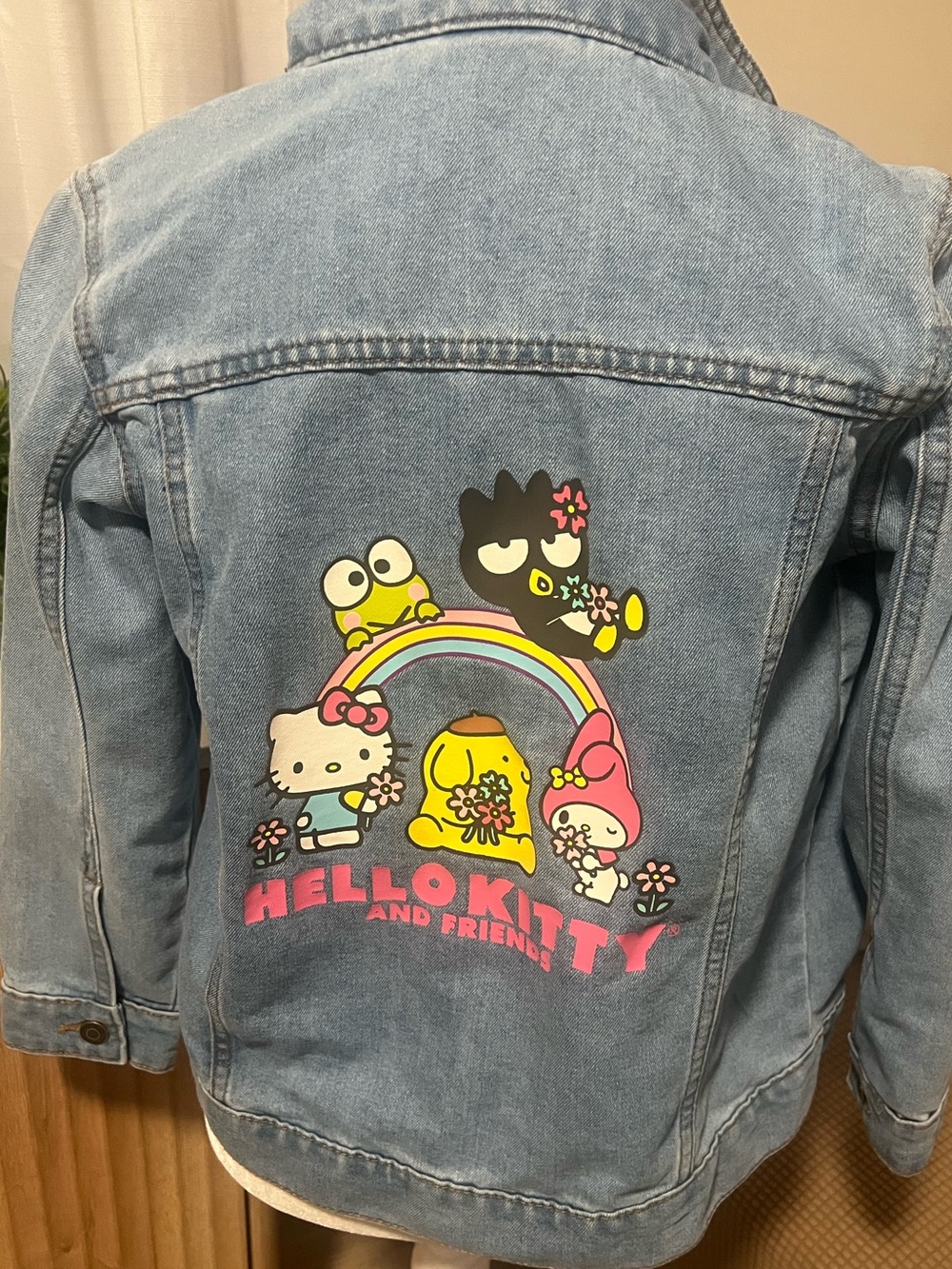 Hello Kitty and Friends - Picture 4 of 6